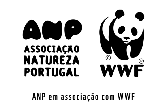 Ação de sensibilização ambiental na NOVA FCSH