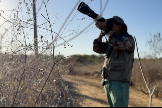 Raridade como valor: aves, fotografia e experiência em Botumirim, Minas Gerais, Brasil